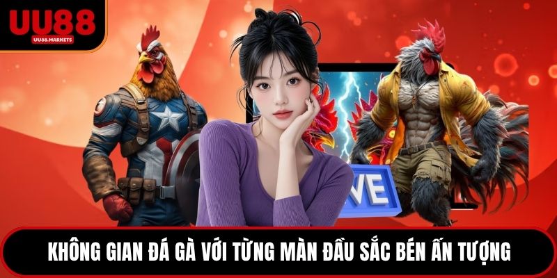 Không gian đá gà với từng màn đầu sắc bén ấn tượng